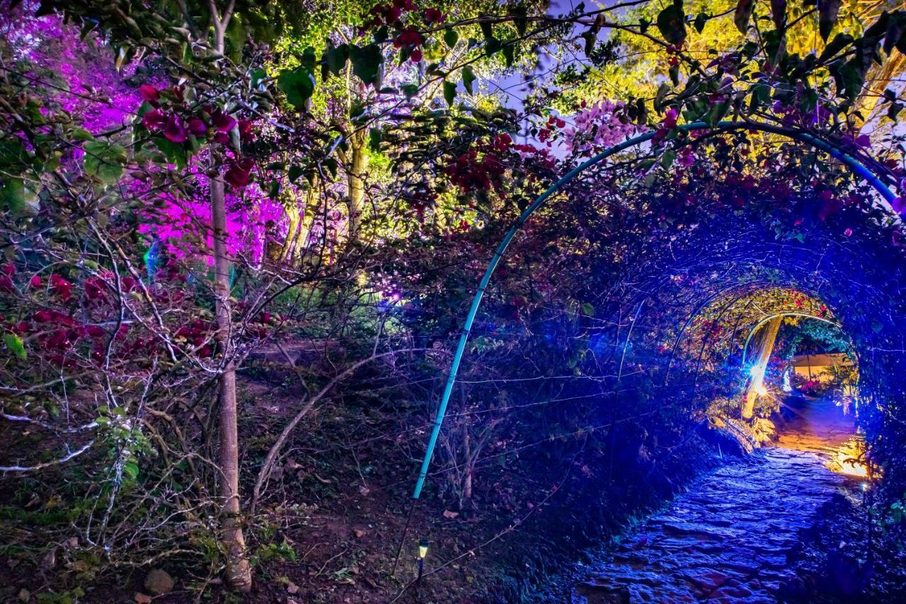 Sunset Palm Lodge 산힐 외부 사진